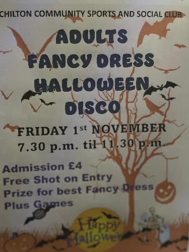 ADULTS HALLOWEEN PARTY/ FANCY DRESS 